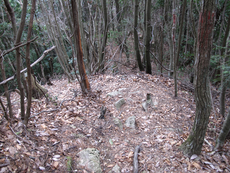 20140102hike (237)